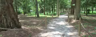 Parque da Saúde na Guarda